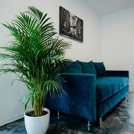 Andrew Apartaments Cluj-Napoca Eksteriør bilde