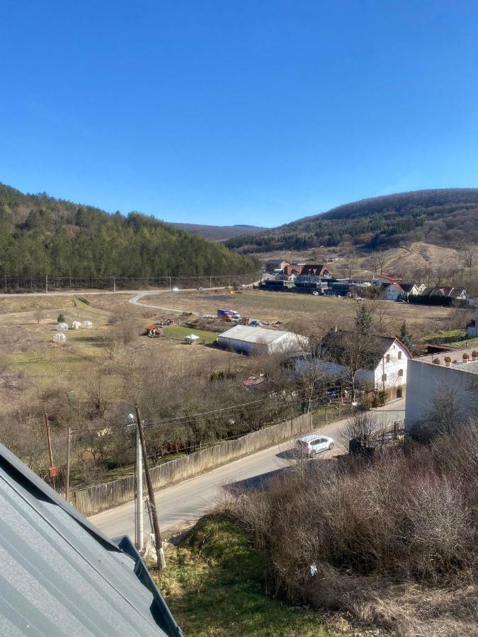 Andrew Apartaments Cluj-Napoca Eksteriør bilde