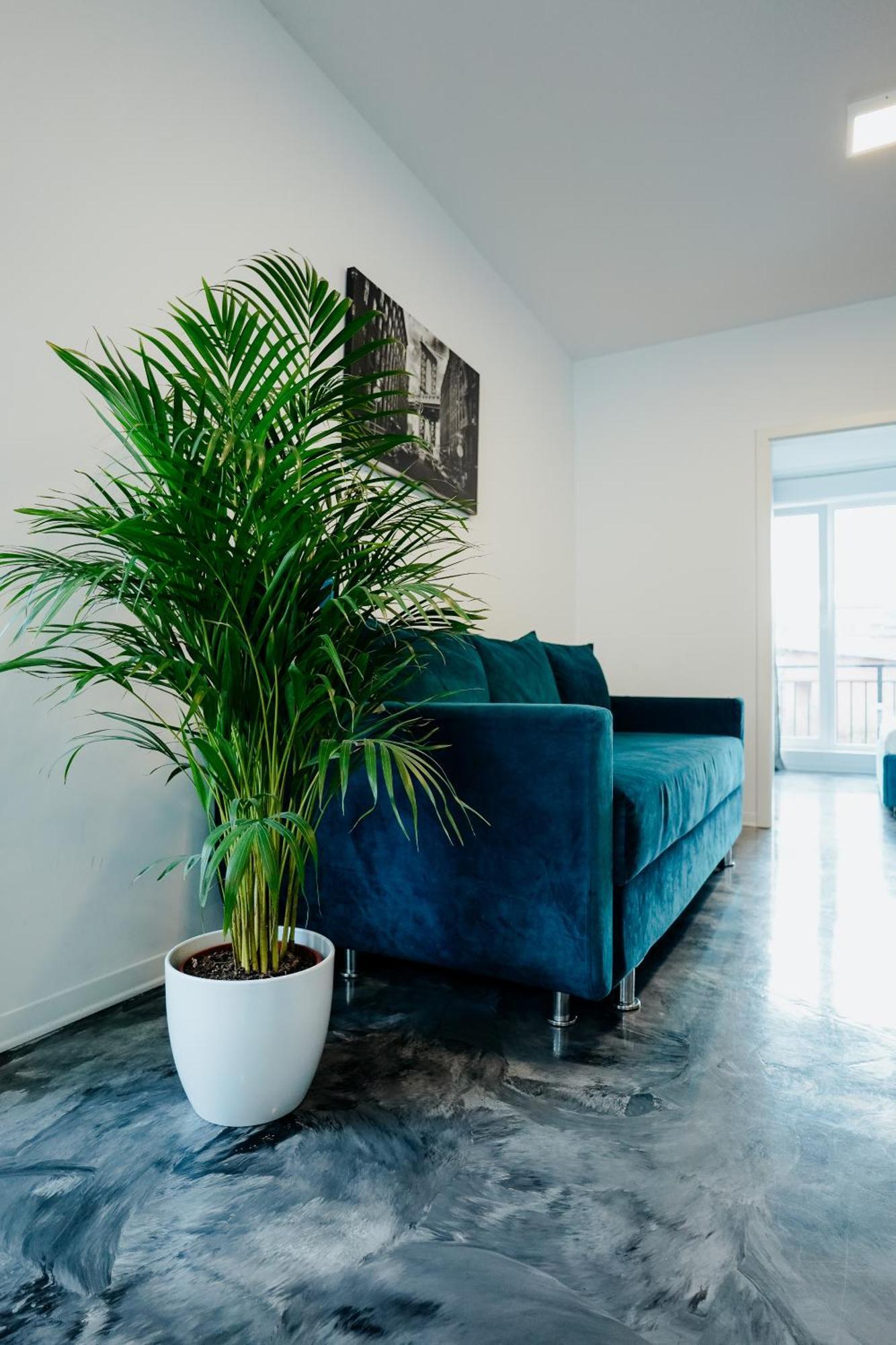 Andrew Apartaments Cluj-Napoca Eksteriør bilde