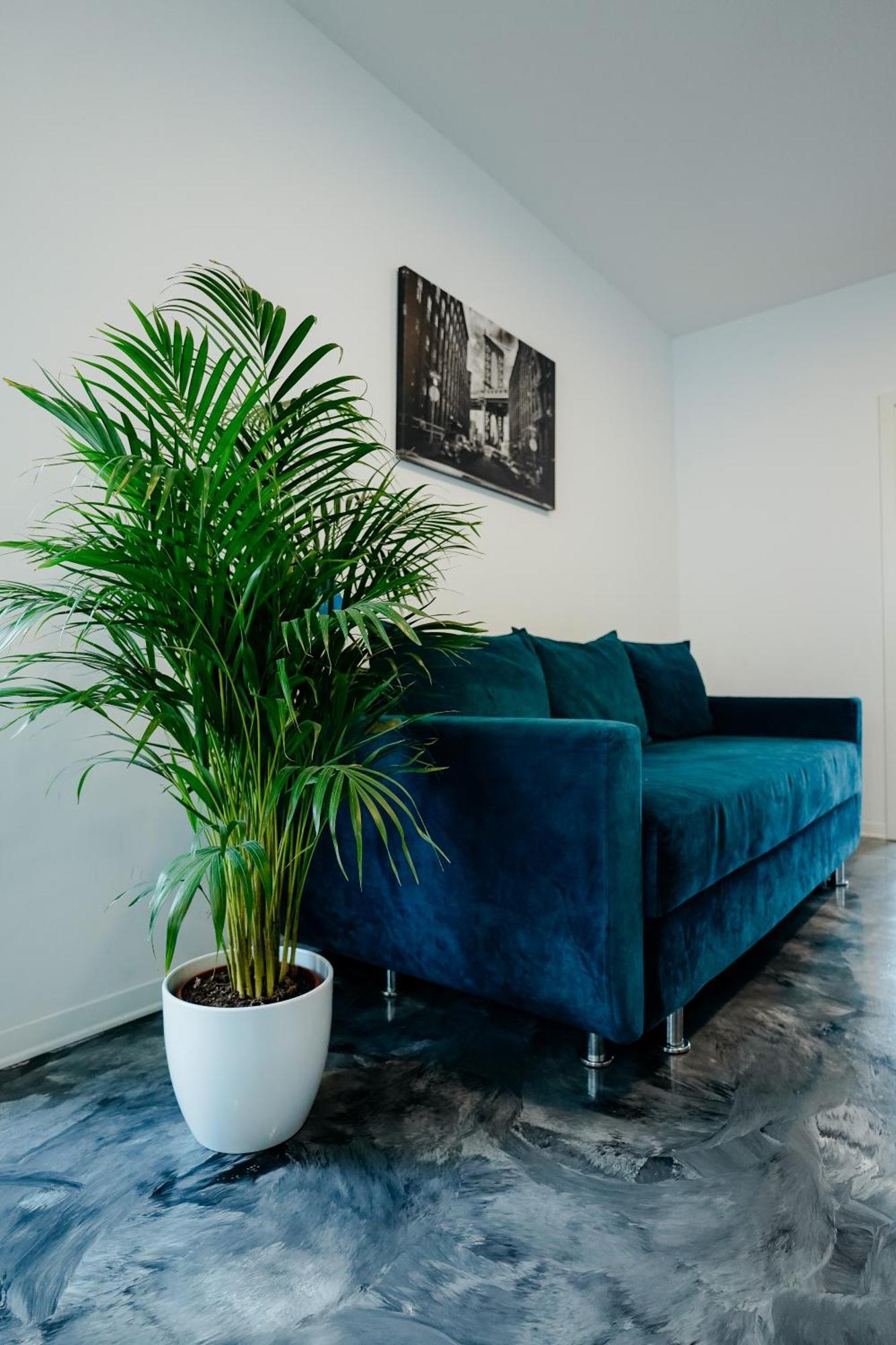 Andrew Apartaments Cluj-Napoca Eksteriør bilde