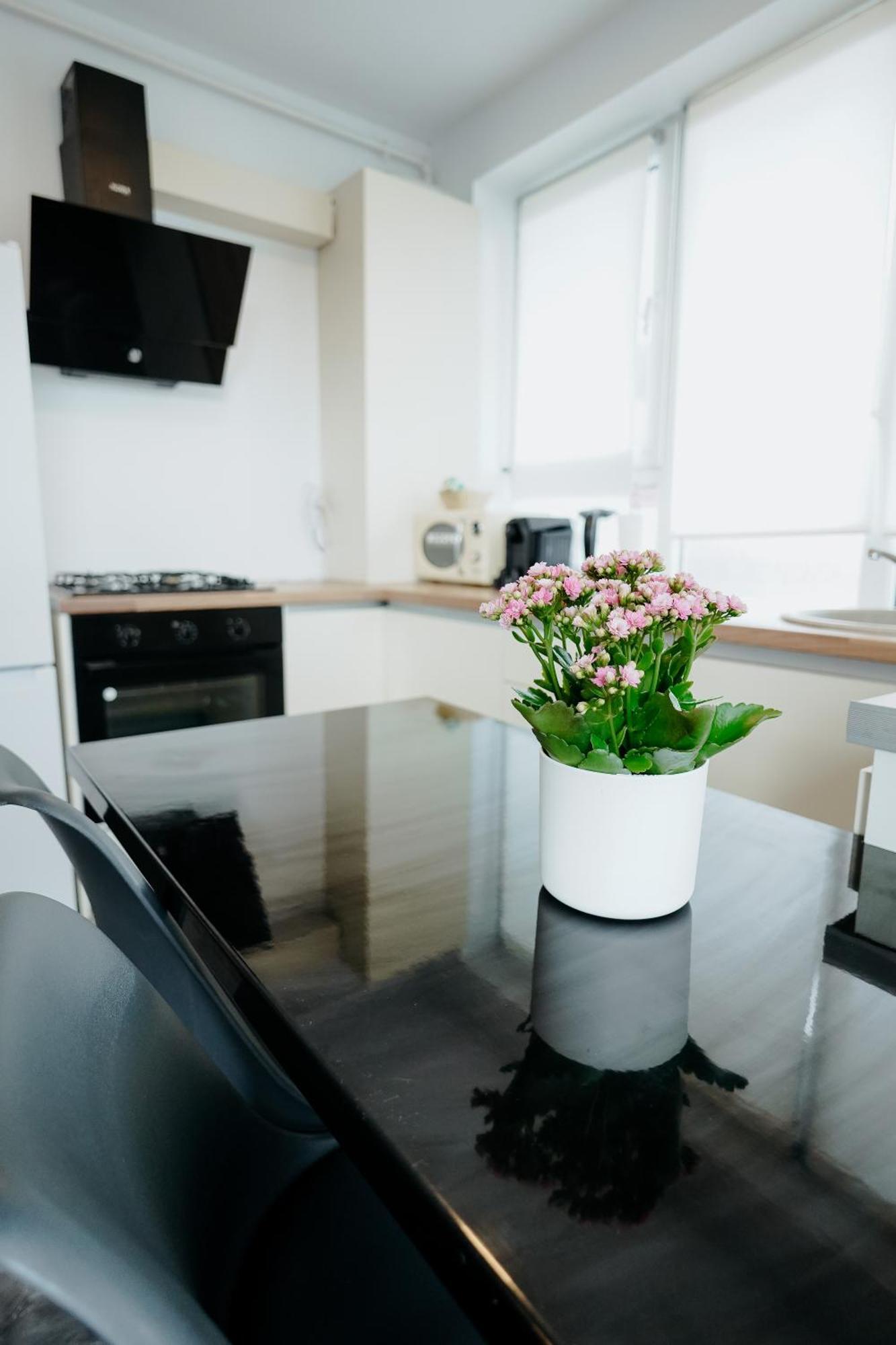 Andrew Apartaments Cluj-Napoca Eksteriør bilde